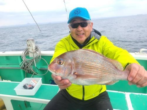 マダイの釣果