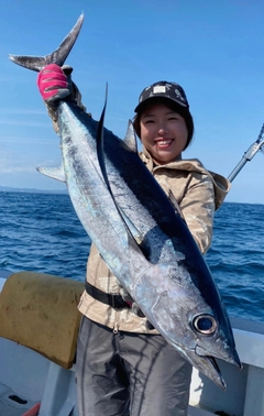 ビンチョウマグロの釣果