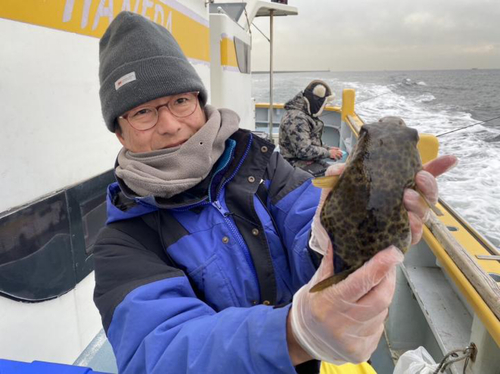 アカメフグの釣果