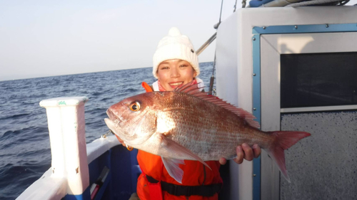 マダイの釣果