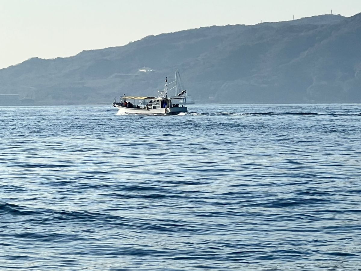 yasuakiki_fishingさんの釣果 2枚目の画像