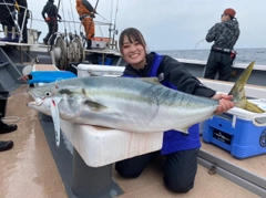 ブリの釣果