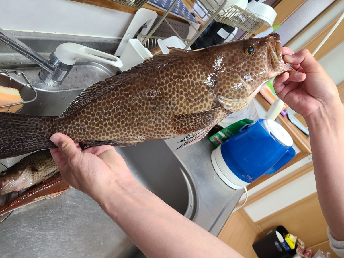 4人の子持ちさんの釣果 1枚目の画像