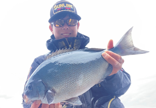 オナガグレの釣果