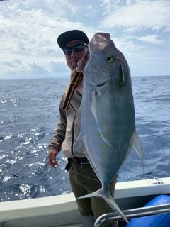 ナンヨウカイワリの釣果