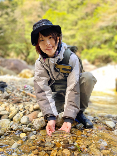 アマゴの釣果