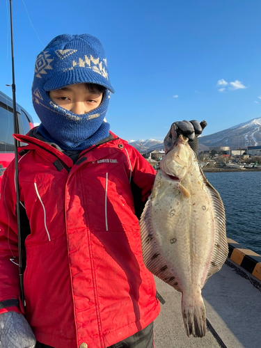 クロガシラガレイの釣果