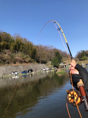 ニジマスの釣果