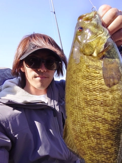 スモールマウスバスの釣果