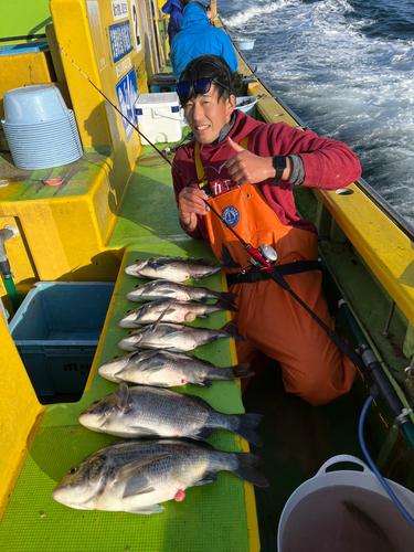 クロダイの釣果