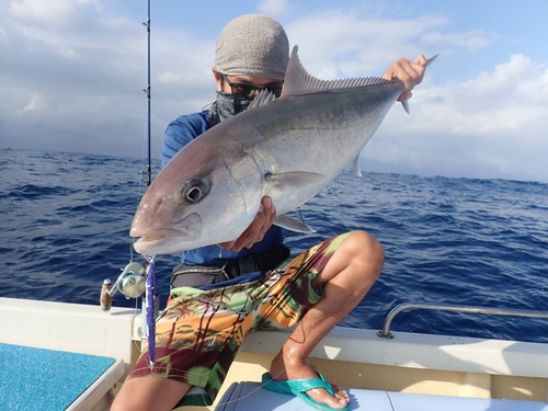 カンパチの釣果