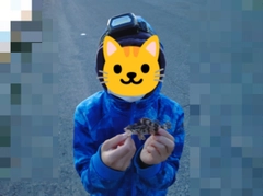 タケノコメバルの釣果