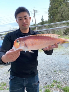 アマダイの釣果