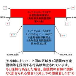 レンコダイ