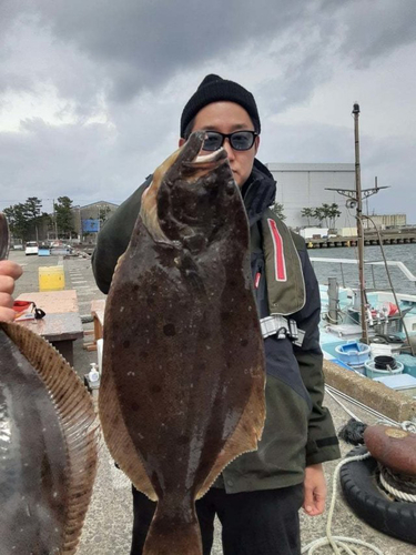 ヒラメの釣果