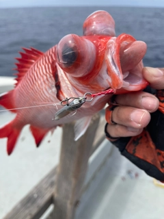 アカマツカサの釣果