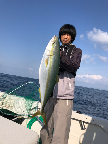 ヤズの釣果