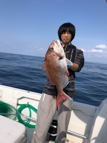 マダイの釣果