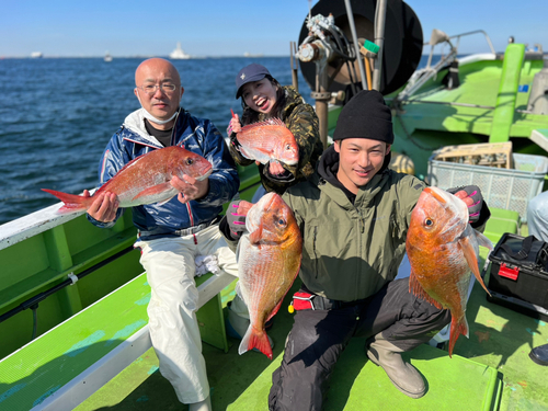 マダイの釣果