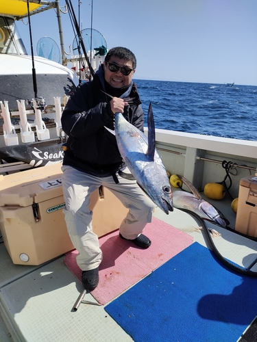 ビンチョウマグロの釣果