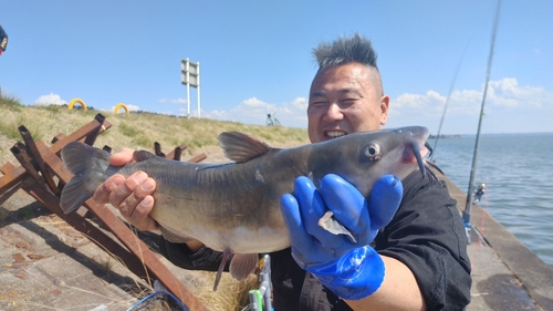 アメリカナマズの釣果