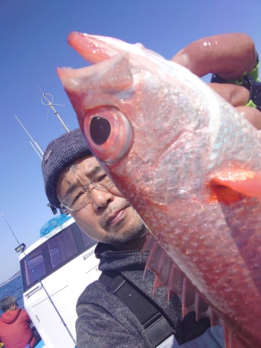 アカムツの釣果