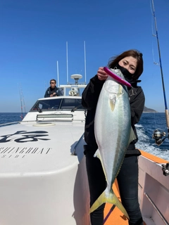 ヤズの釣果