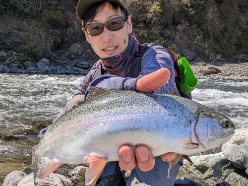 ニジマスの釣果