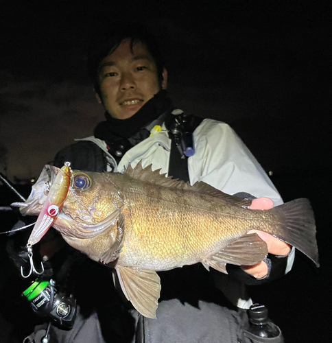 アカメバルの釣果