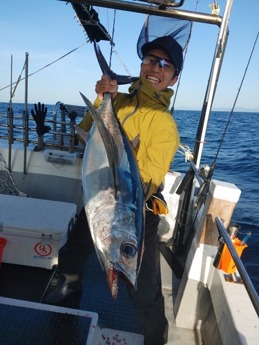 ビンチョウマグロの釣果