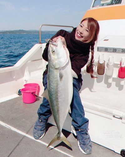 ブリの釣果