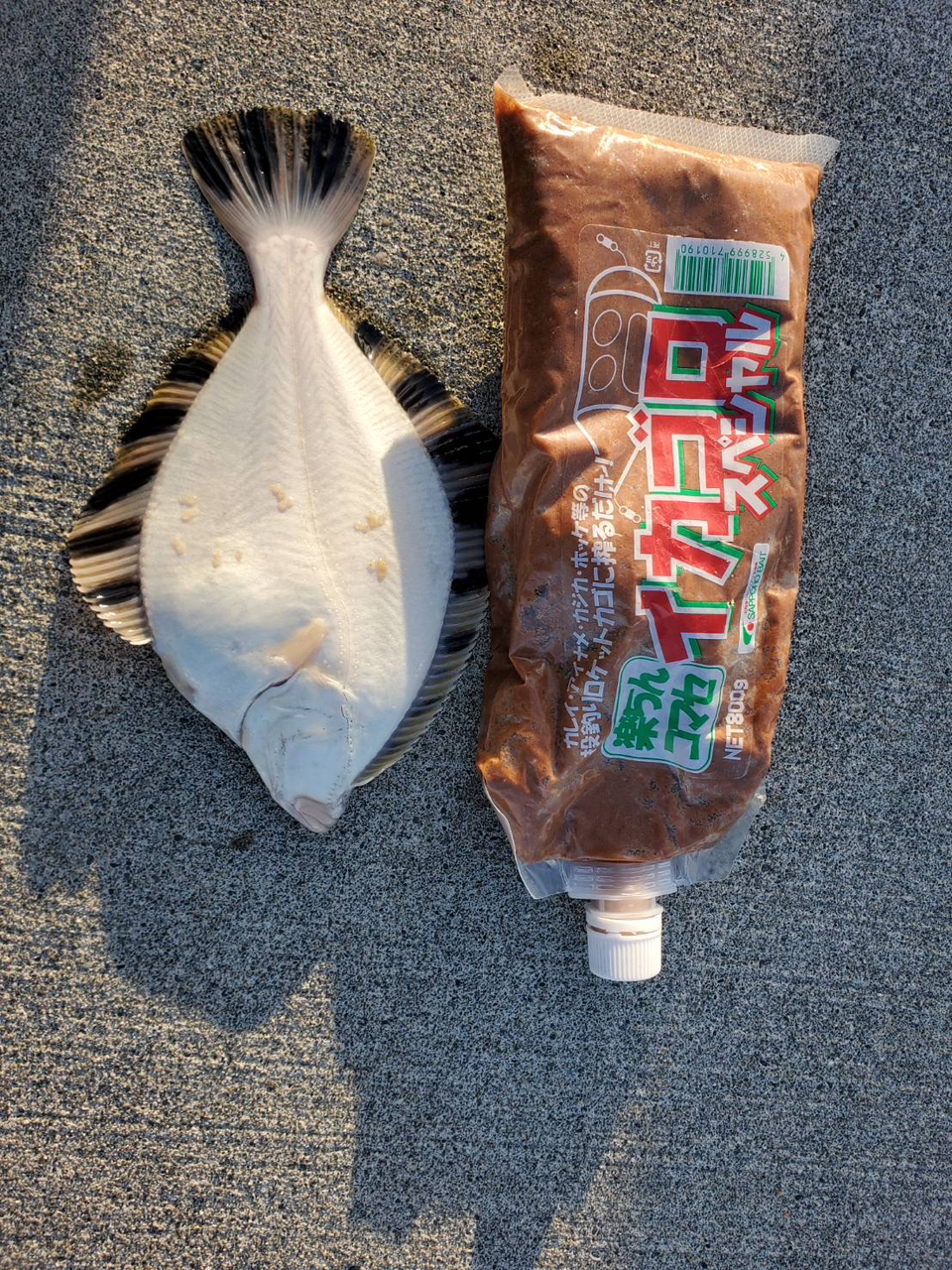 カレイ