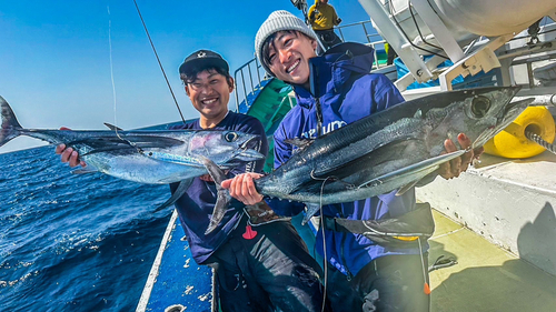 ビンチョウマグロの釣果