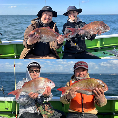 マダイの釣果