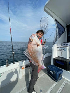 マダイの釣果