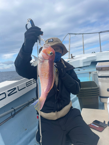 アマダイの釣果