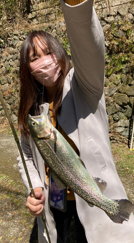 ニジマスの釣果