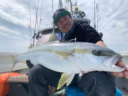 ヒラマサの釣果