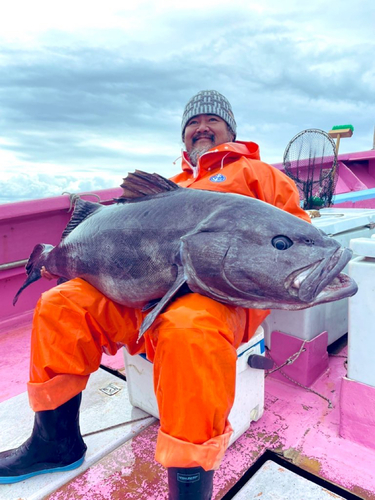 アブラボウズの釣果