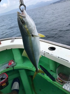 イナダの釣果