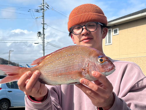 タイの釣果