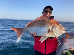 マダイの釣果