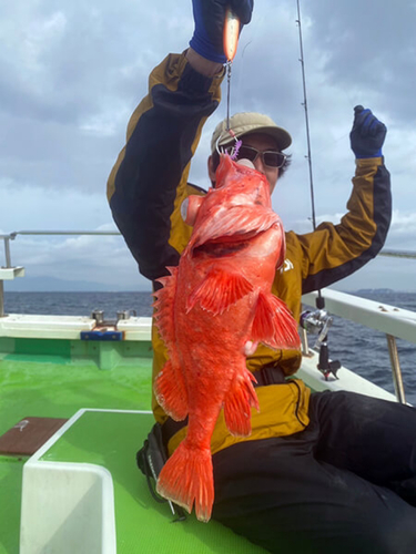 アコウダイの釣果