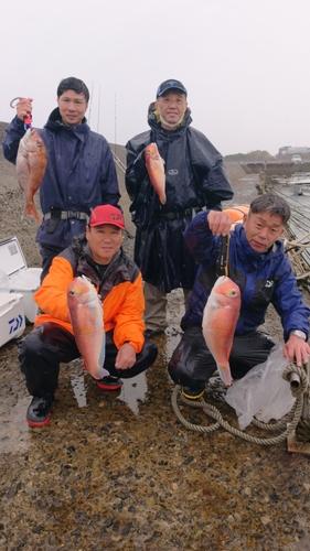 タイの釣果