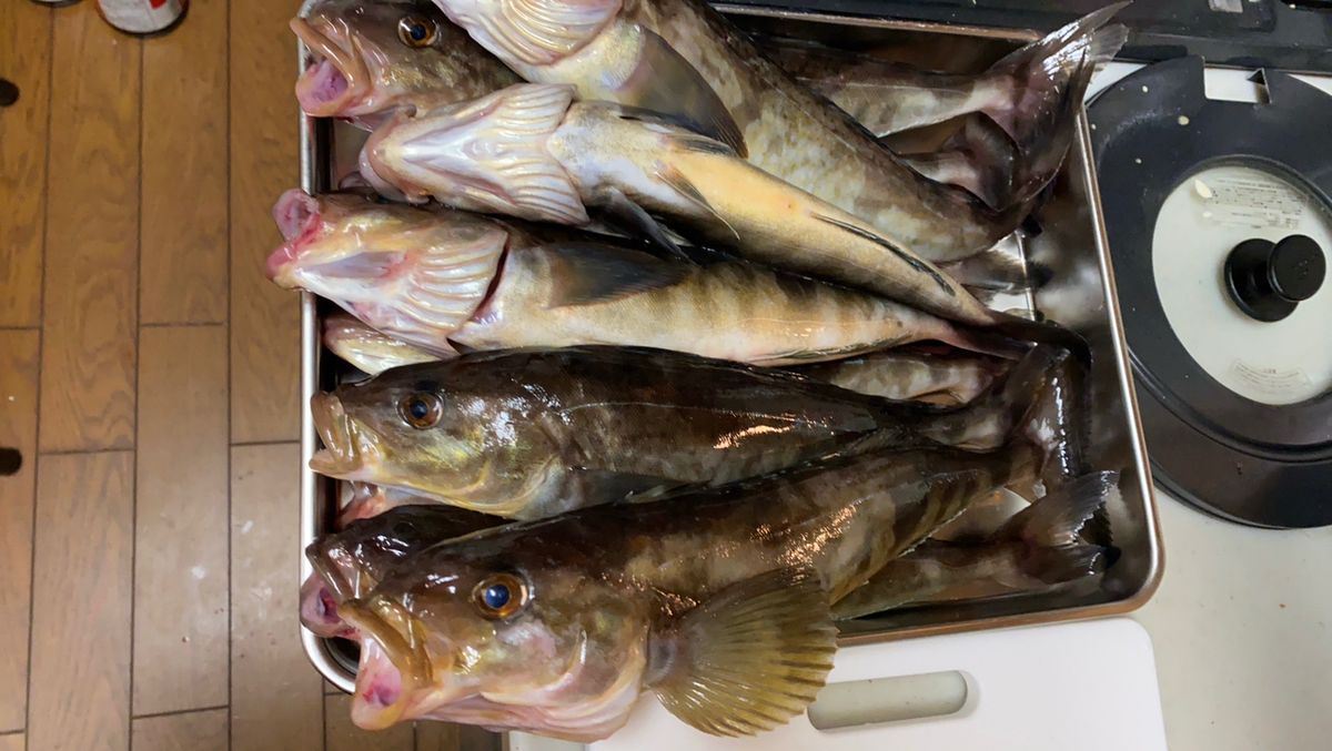 オヤジ釣り師Jさんの釣果 2枚目の画像