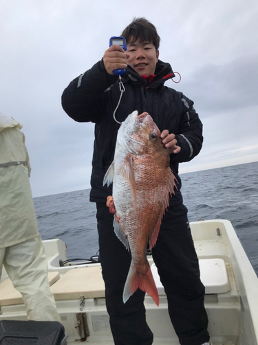 マダイの釣果