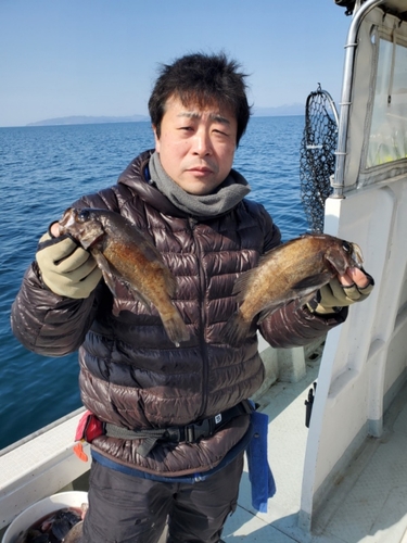 クロメバルの釣果