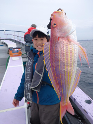 メダイの釣果