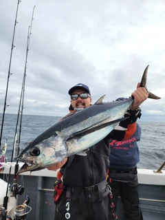 ビンチョウマグロの釣果