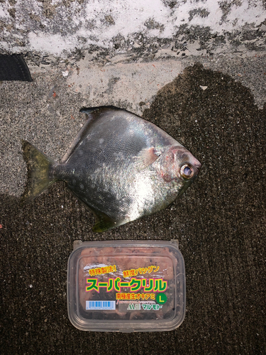 釣果